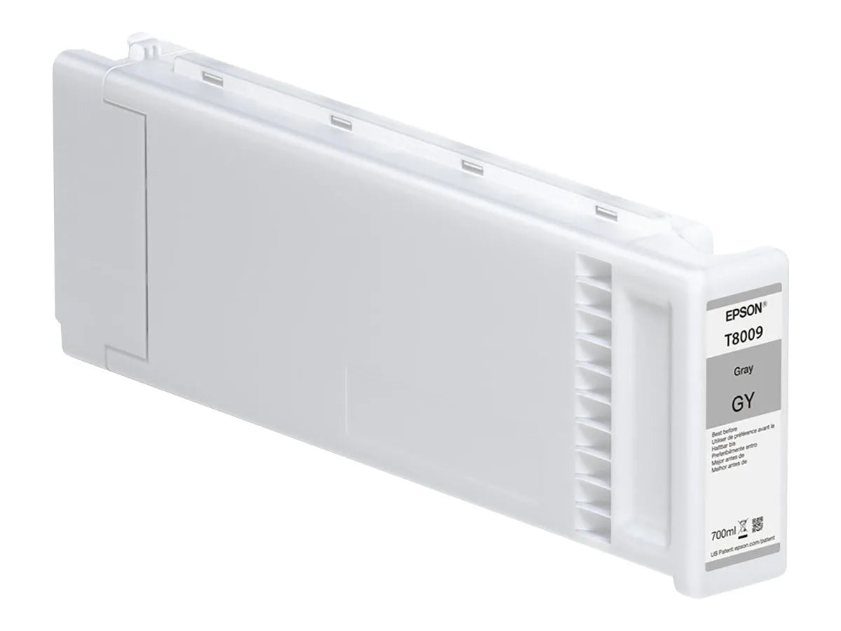 Epson T8009 / C13T800900 Tinte grau
